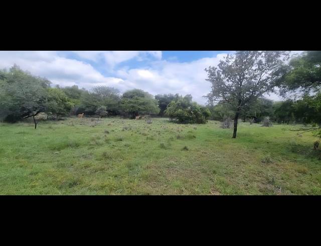 8.50HA FARM FOR SALE IN BELA BELA RURAL